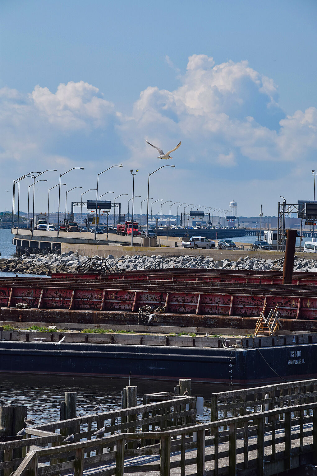 Tern at Hampton Roads, VA